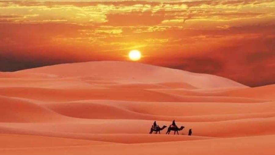 Sahara Desert