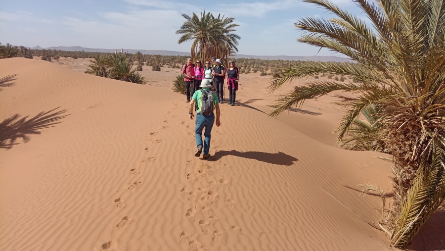 Day trip to Agafay Desert from Marrakech 