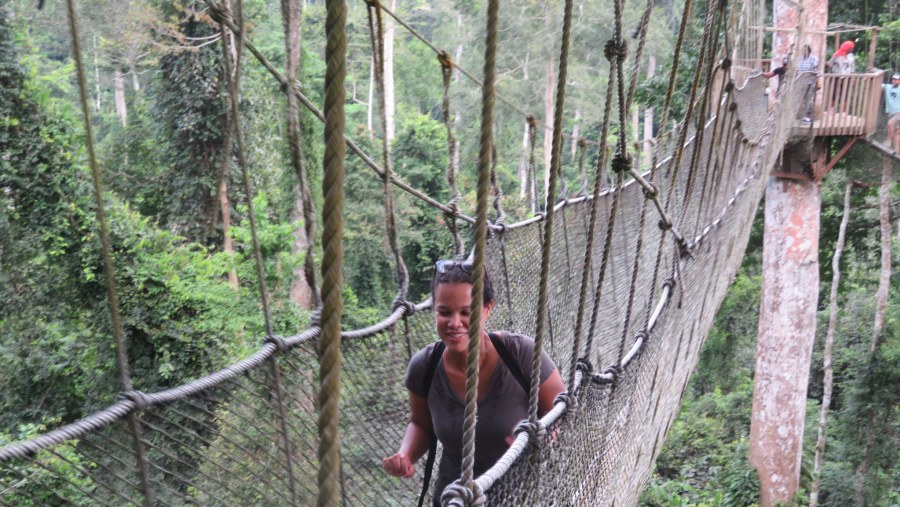 Canopy Walkway