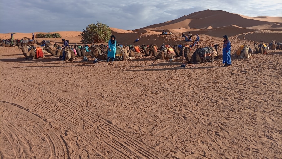 Day trip to Agafay Desert from Marrakech 