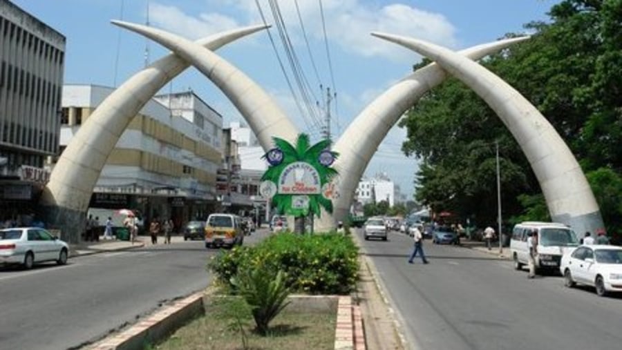 Elephant Tusk