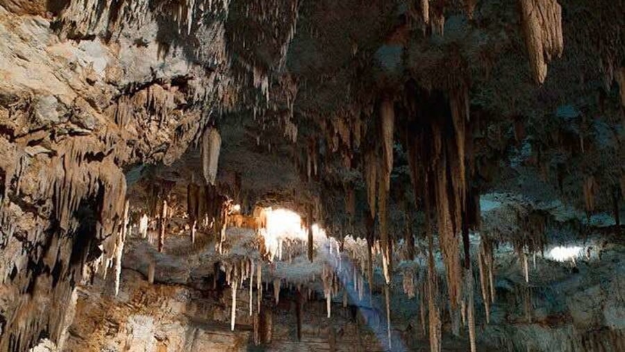 Cenote Palomitas