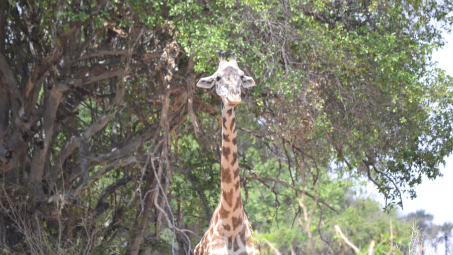 An unforgettable experience with our guide, Richard Peter