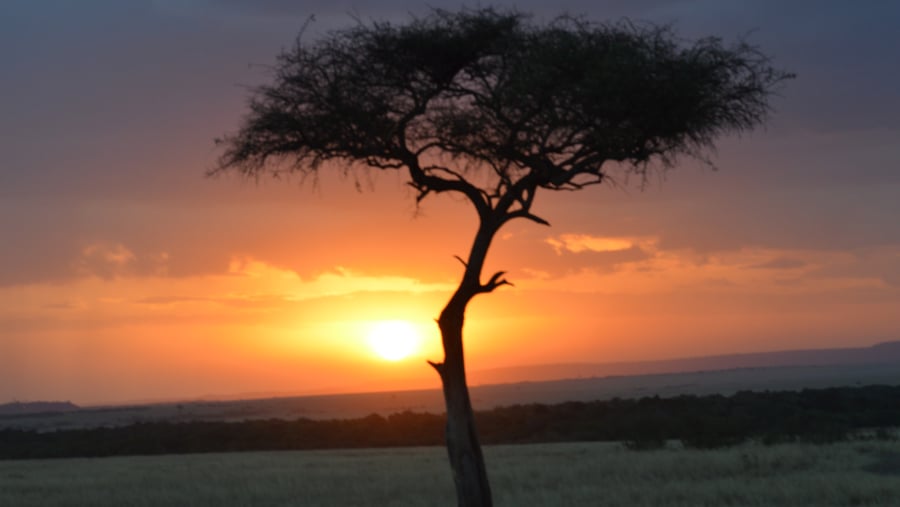 Sunset in the Masai mara