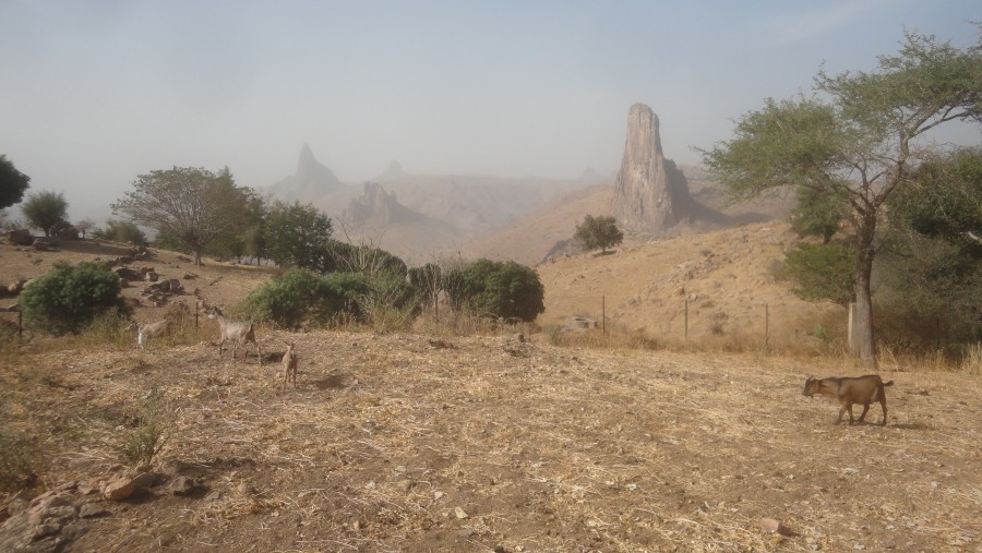 The famous Rhumsiki peak, Cameroon