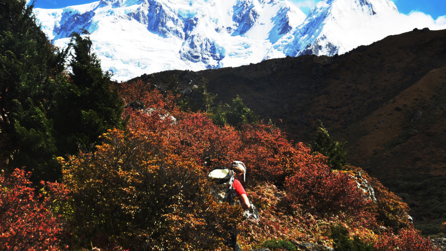 Kanchenjunga Circuit Trek 