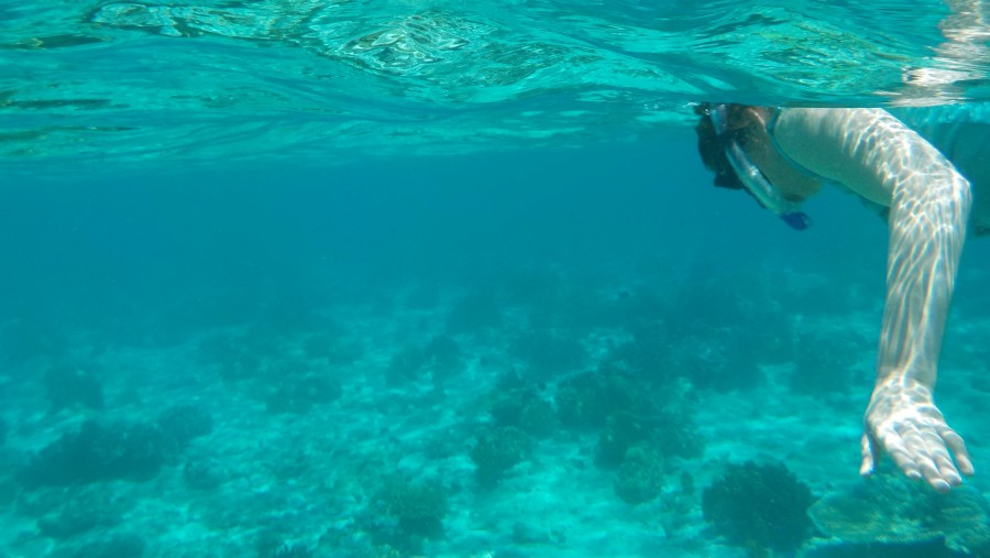 snorkeling in Pangabatang island
