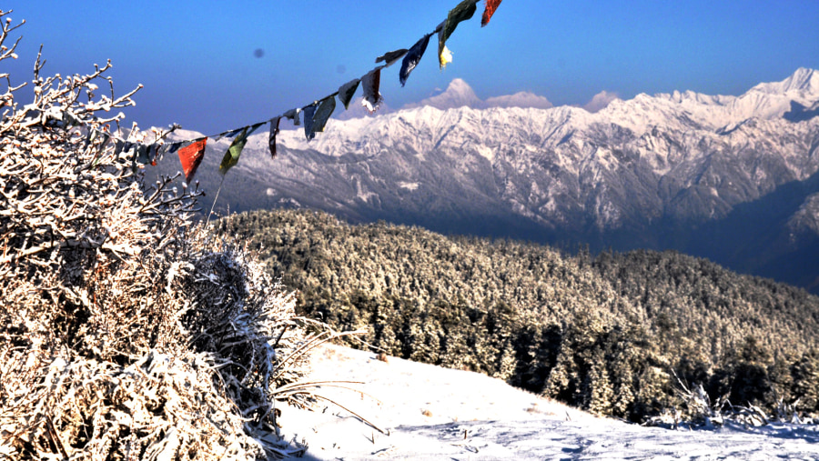 Kanchenjunga Circuit Trek 