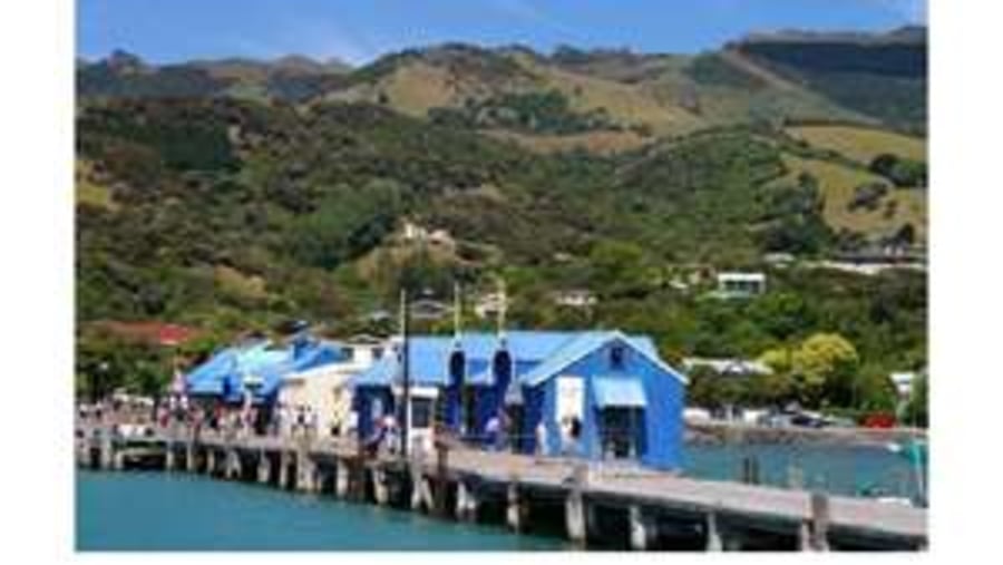 Akaroa Wharf where the tour starts