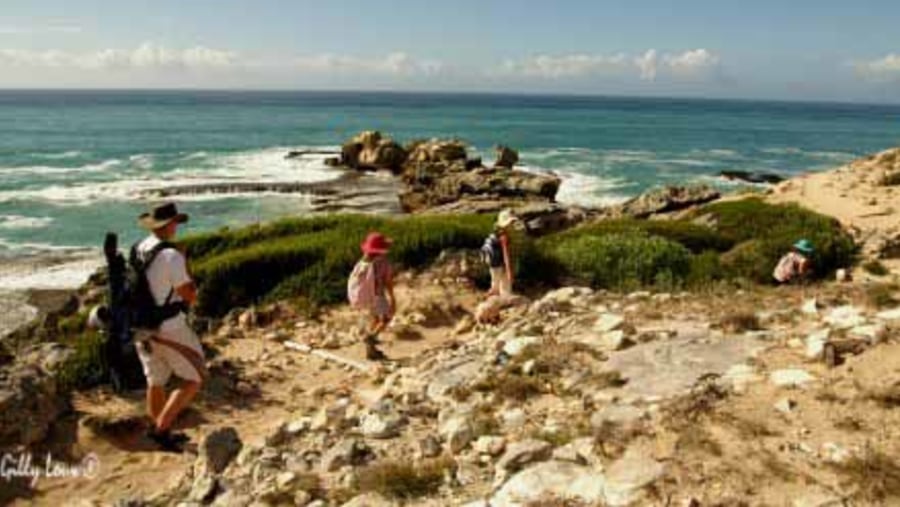 Whale Trail coast