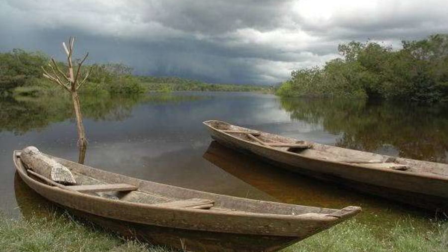  While Quiet Amazon River 