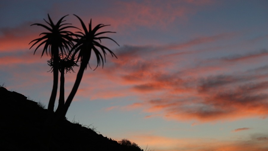 Capetown, from main sites to off the path jewels