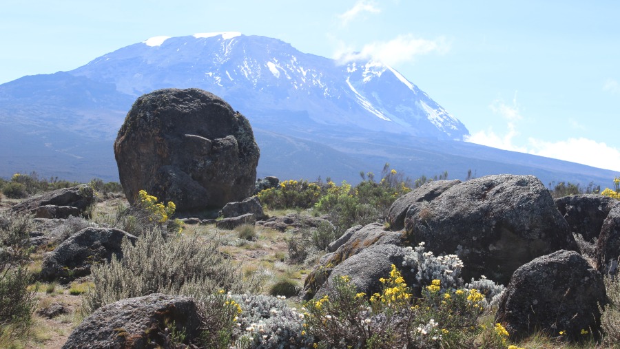 Kilimanjaro - Lomosho trek