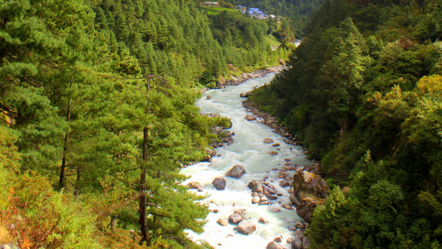 Scenic Everest Region Alpine Forest