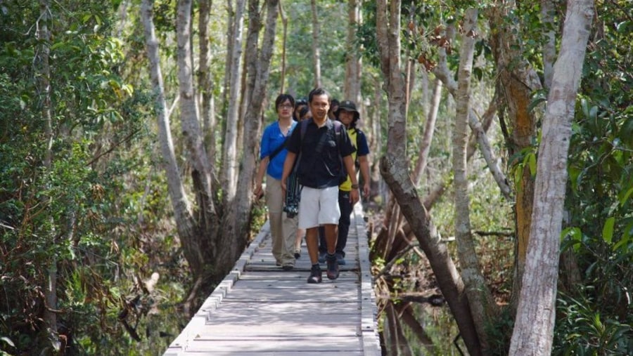 Camp Leakey with Metro TV, Indonesia