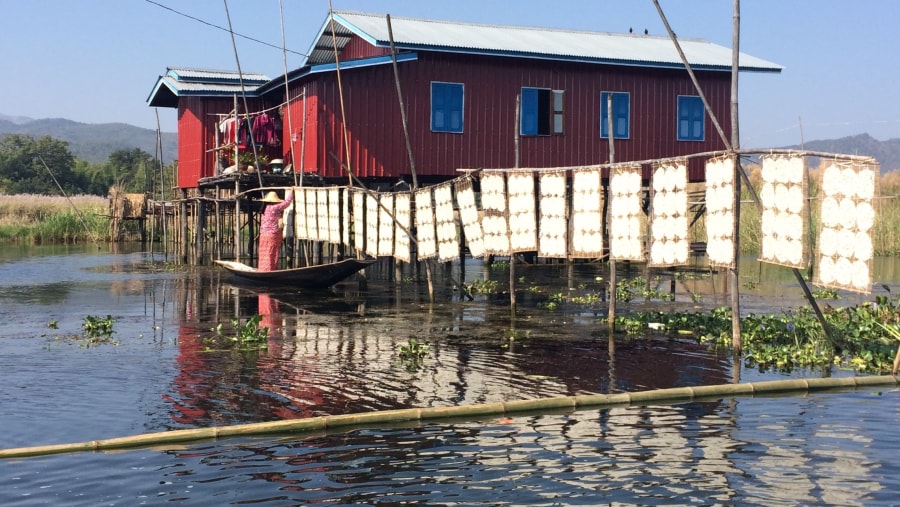 Drying rice noodles