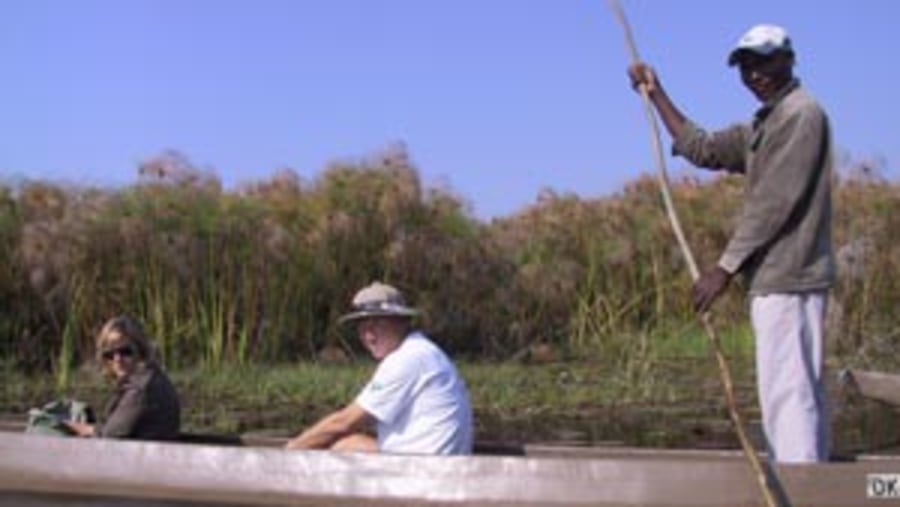Canoeing in botswana swamps
