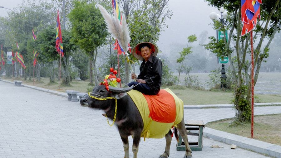 Hoa Lu- Tam Coc one day tour with Biking