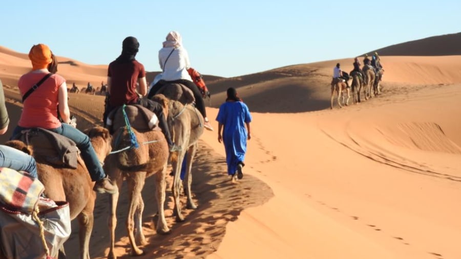 camel ride in the Sahara