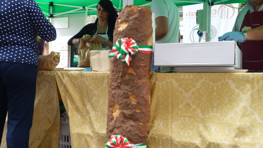 Typical DOP protected bread form Genzano di Roma