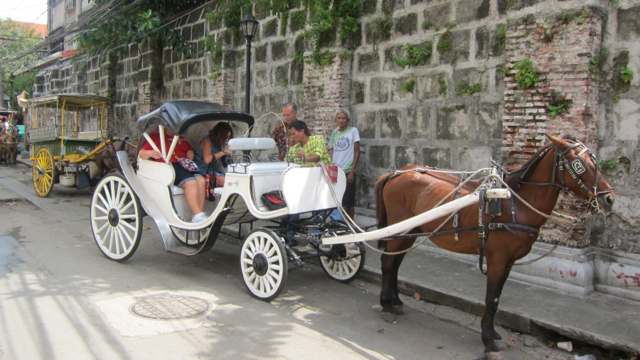 Horse Carriage