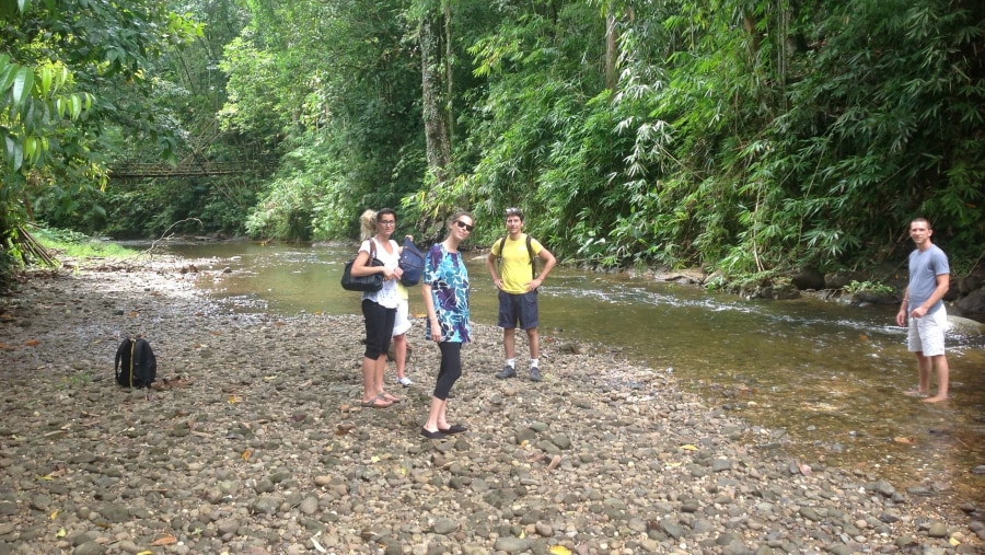 Jungle trekking 