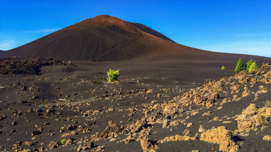 Teide and Teno Tour Tenerife 