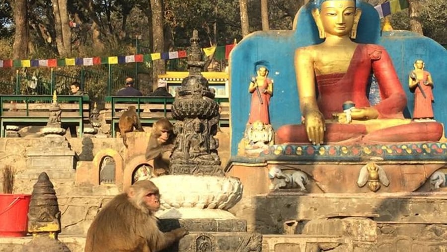 #Monkey Temple# Kathmandu#