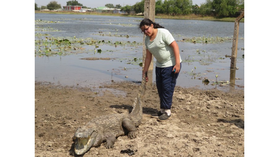 Paga Crocodile Pond