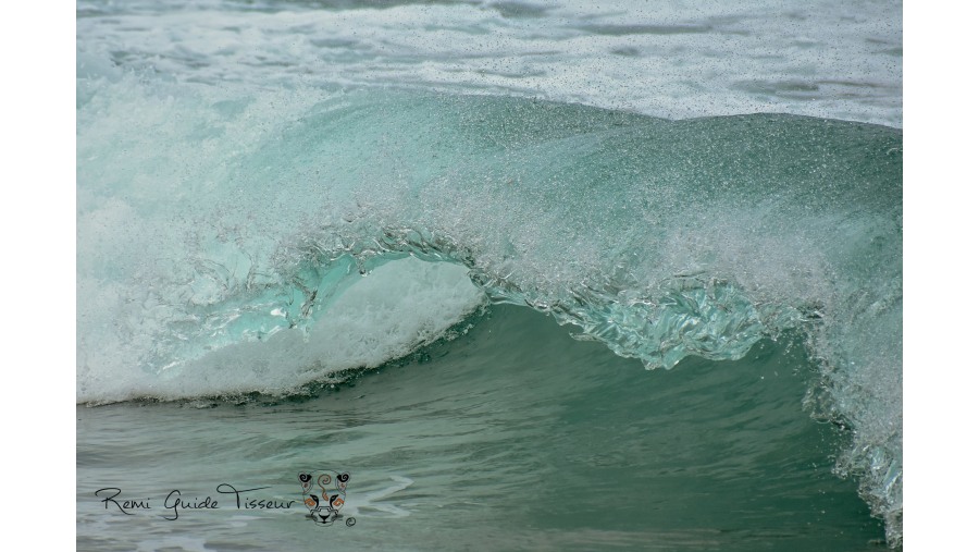 Pacific waves on a secret beach