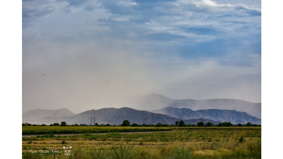 Sandstorm, Coahuila