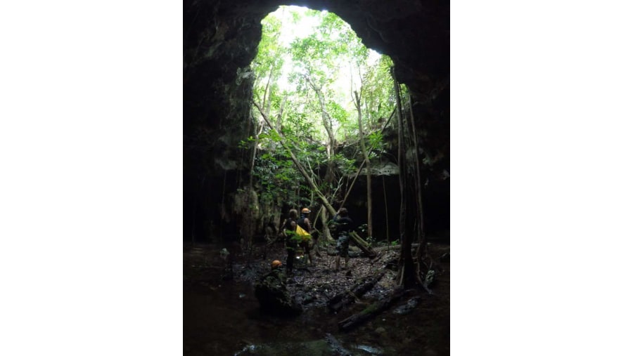 the sacred cenote