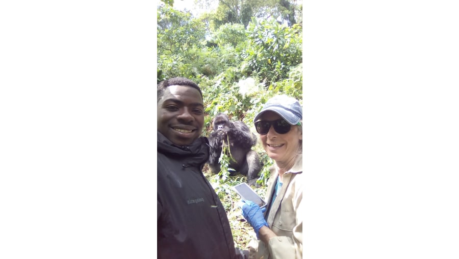 Mountain Gorillass Tracking, Sabyinyo Group