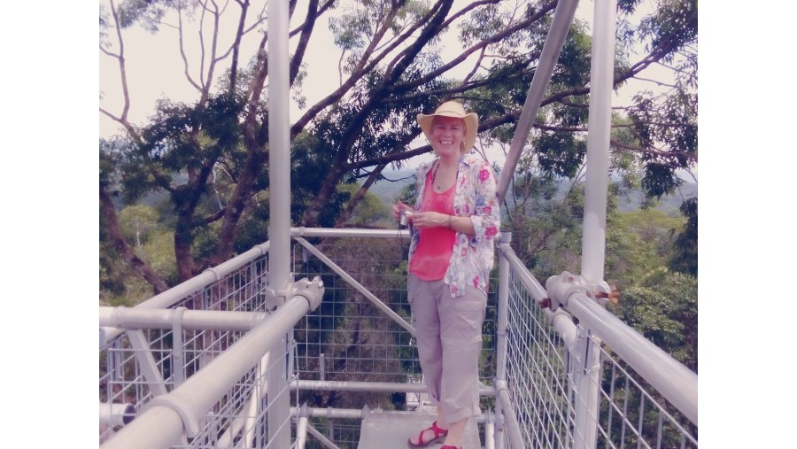 Ulu Temburong National Park - On the top of the canopy tower