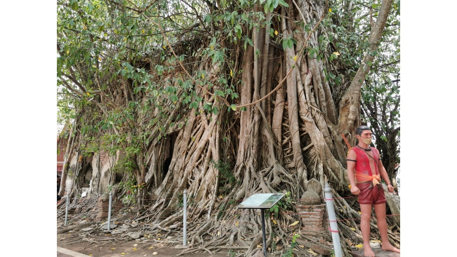 Wat bang kung