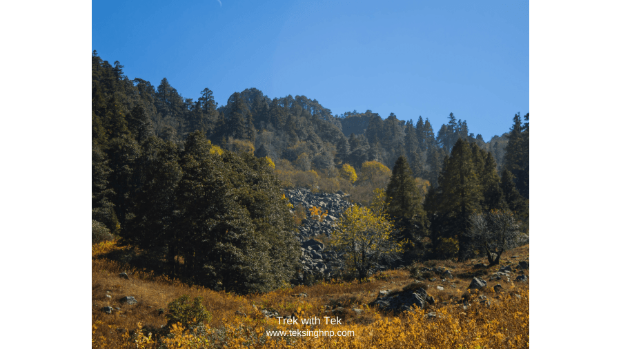 Pakhadi, GHNP Ecozone, Tirthan Valley