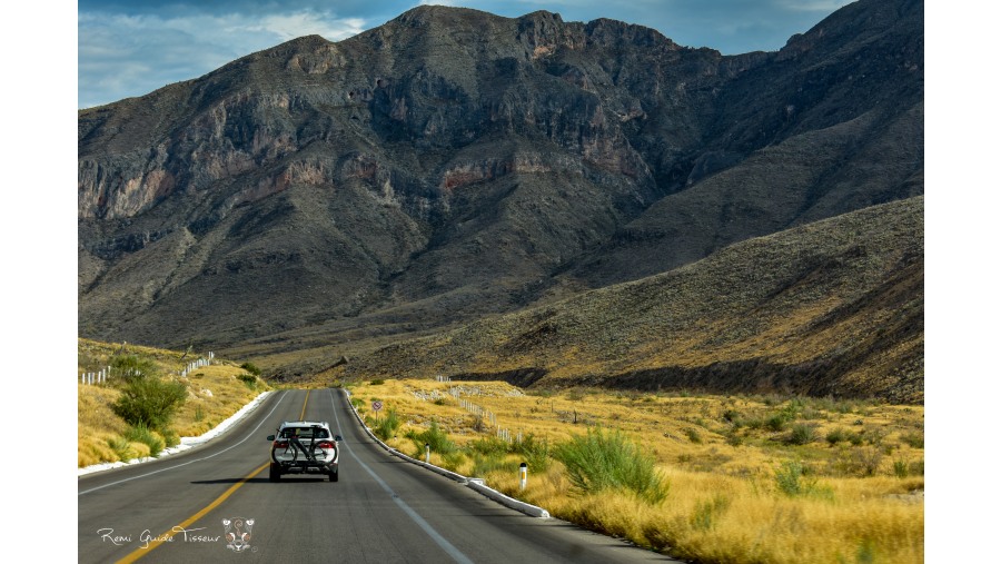 Fun trough deserts, Coahuila