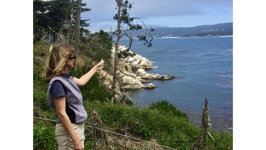 Point Lobos, CA