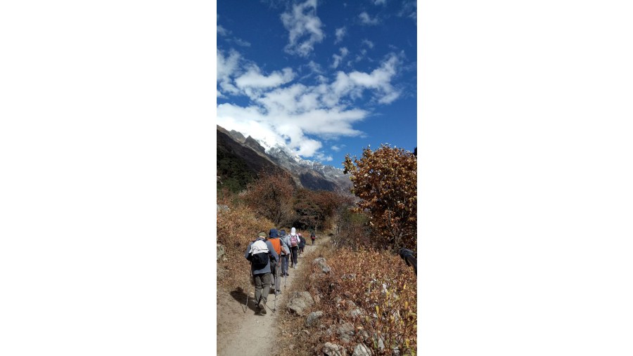 Travelers heading to the Kyanjing Gompa. Langtang valley