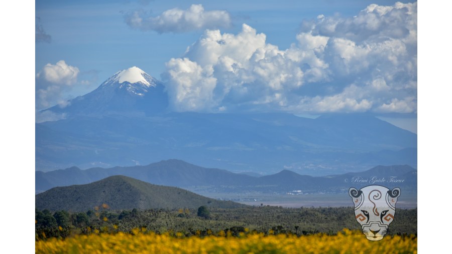 Ciltaltépetl Volcano (the star mountain) from Cantona Archeological Site