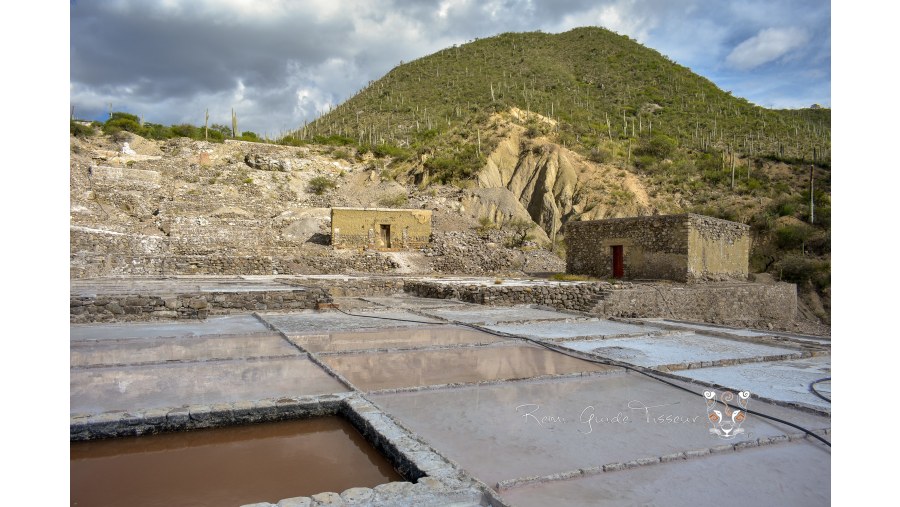 Prehispanic Salinas at Tehuacán-Cuicatlán Biosphere Reserve