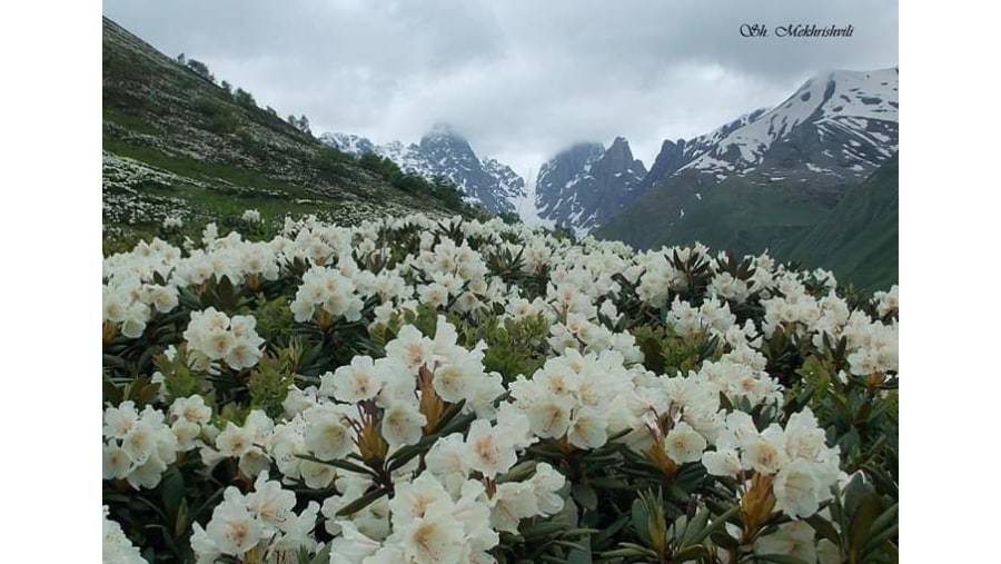 Abudelauri Lakes