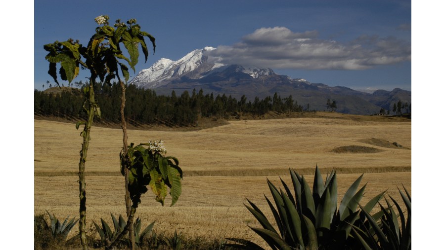 Cayambe