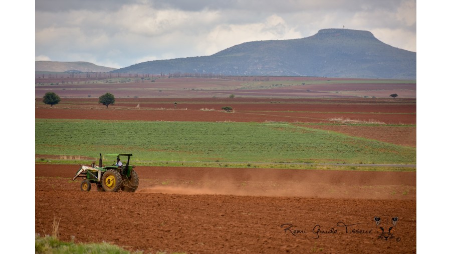 Red soil landscapes in Zacatecas