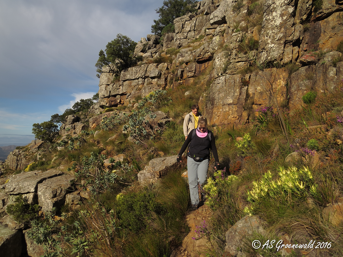 Helderberg Nature Reserve In Cape Town