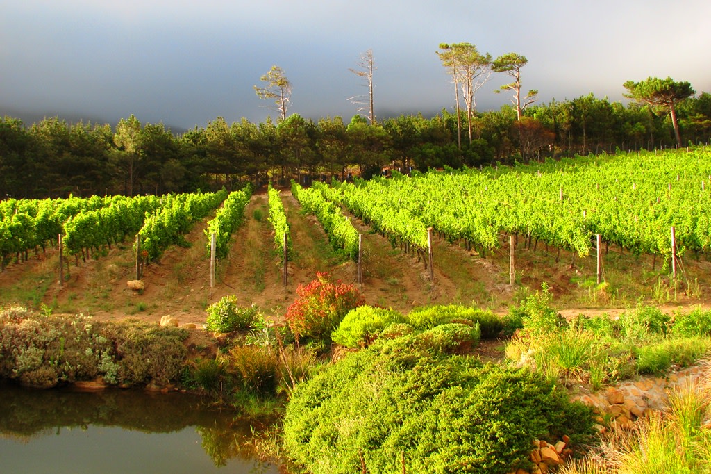 Winelands
