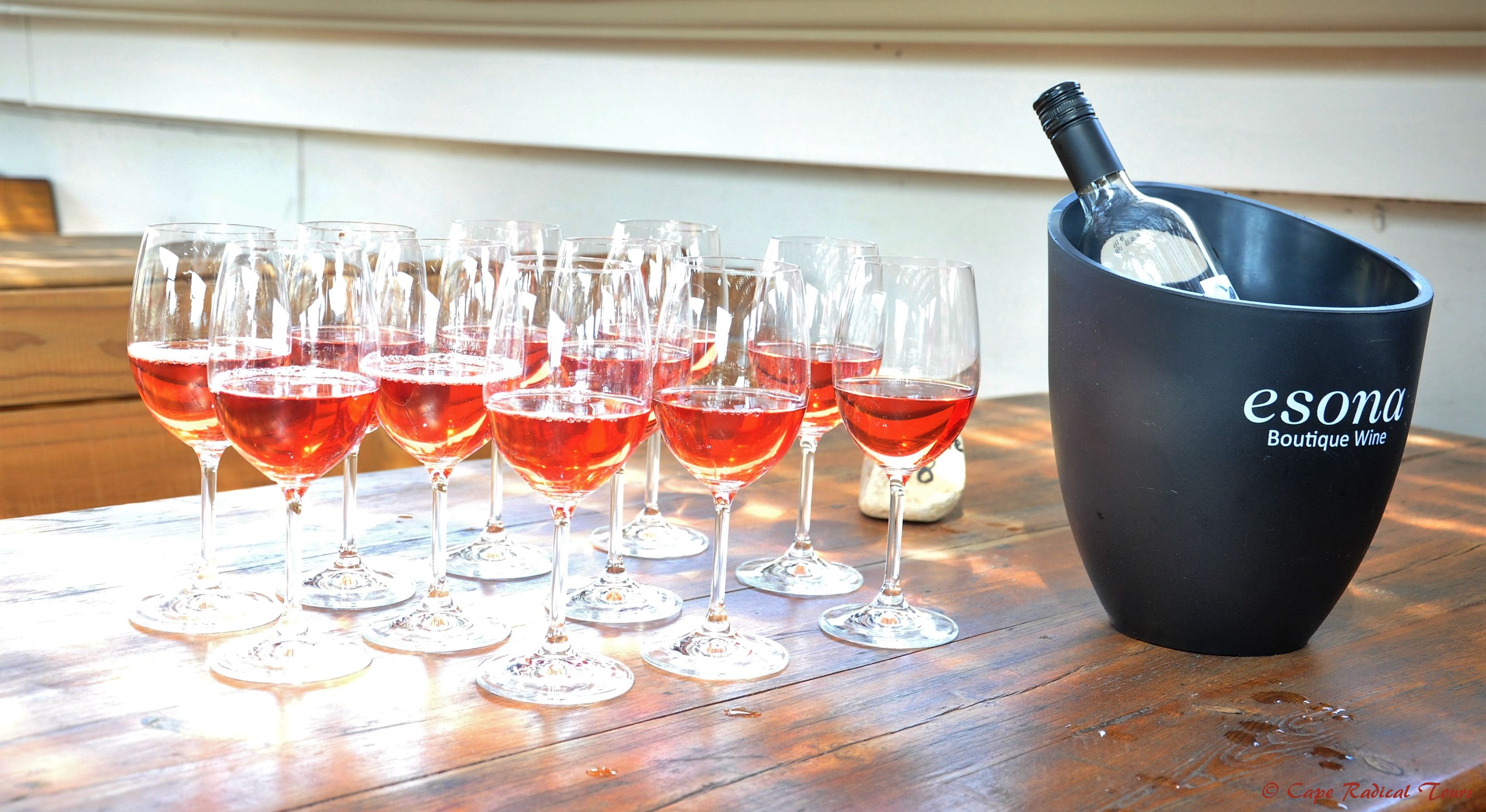 Wine Tasting