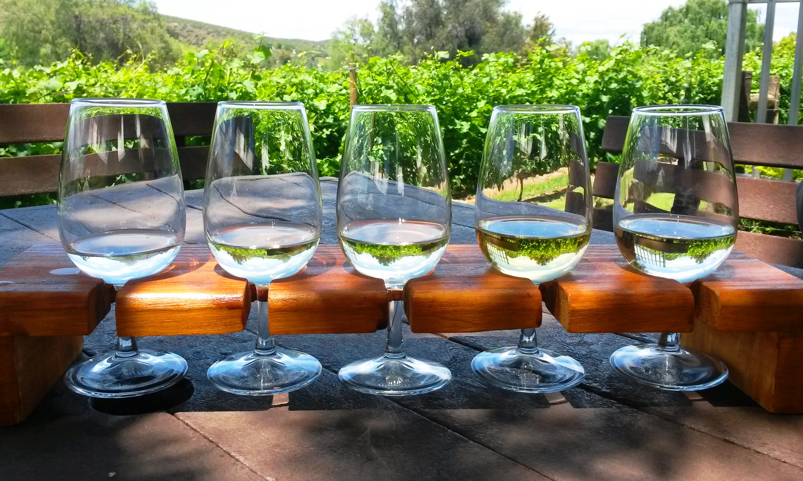 Wine tastings