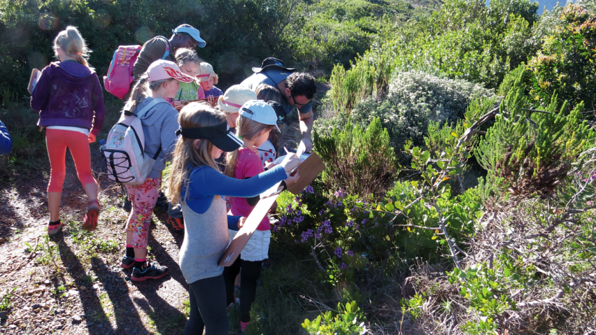 Environmental Education In South Africa