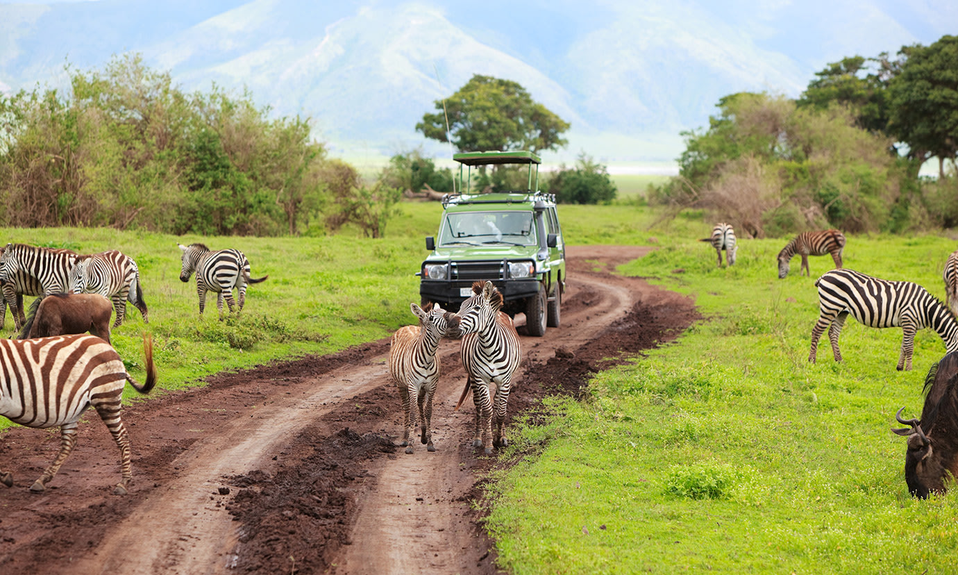 Dar es Salaam, Iringa, Ruaha National Park hour Private Tour Package